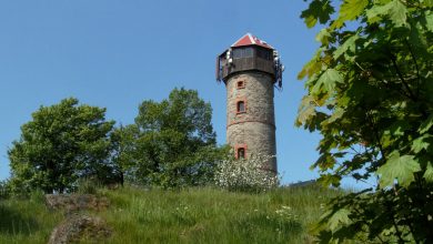 Hora Sv. Kateřiny: rozhledna na Růžovém vrchu